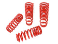 Skunk2 Racing springs detail