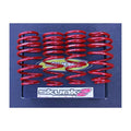 Skunk2 02-04 Acura RSX Lowering Springs (2.25in - 2.00in.) (Set of 4)