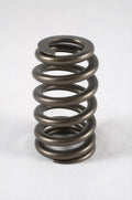 1.290 Valve Springs - Ovate Beehive (16)