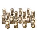 1.061 Valve Springs - Ovate Beehive (16)