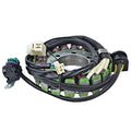 Arrowhead Suzuki 12V Stator