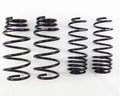 RSR Forged springs detail