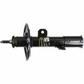 OESPECTRUM PREMIUM STRUT