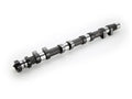 CAMSHAFT PONCAM KA24DE EX 270-9.82