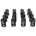 Howards Cams springs