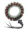 STATOR,38A 3PHS RPL 30017-01