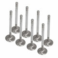 STR/SS VALVE CHRY BB 1.88