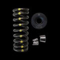 Brian Crower 2019+ Honda Talon Spring / Titanium Retainer / Seat Kit