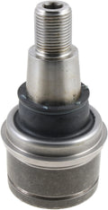 LOWER SOCKET ASSEMBLY