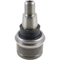 LOWER SOCKET ASSEMBLY