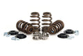 VALVE SPRING KIT, BEEHIVE