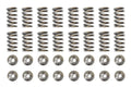Brian Crower Mitsubishi 4G63/EVO 8/9 Single Spring & Steel Retainer Kit