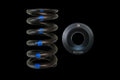 Brian Crower Mitsubishi 4G63/EVO 8/9 Single Spring & Steel Retainer Kit