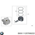 Piston With Rings BMW 3.0L M54 306 S3 M54 B30