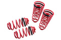 Megan Lowering Springs A4 96-01 FWD 25 LBs Spring Rate: Front K1-146 K2-224 Rear K1-65 K2-168