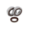 All Balls Racing 08-09 KTM XC 450 ATV Crank Shaft Bearing Kit