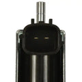 STANDARD IGN exhaust close-up