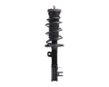 QUICK-STRUT ASSEMBLY