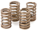 Hot Cams 09-14 CRF 450 R Valve Spring Kit