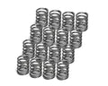 Supertech Single Valve Spring Dia 26.6 / 19.6mm CB 19mm - Set of 16