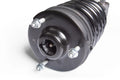 Zone Offroad strut brace