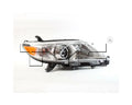 1120 TY SIENA HALGN NON SE H.L RH