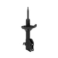 OESPECTRUM PREMIUM STRUT