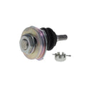 Specialty Products Inc. auto part
