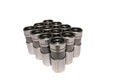Pro Mag Hyd Flat Lifters Buick 350-455.