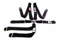 SFI 16.1 CAM-LOCK HARNESS 3' PULL D