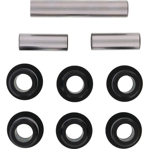 All Balls Racing Rear Ind. Suspension Kit