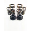 DDP 94-98 Dodge Cummins 5.9L 12V P-Pump 3000 & 4000 RPM Governor Spring Kit