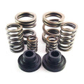 DDP 94-98 Dodge Cummins 5.9L 12V P-Pump 3000 & 4000 RPM Governor Spring Kit
