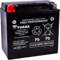 Yuasa YTX14L Maintenance Free AGM 12-Volt Battery