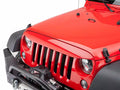 NightHawk Light Brow, Black, Molded, Paintable; 07-18 Jeep Wrangler JK