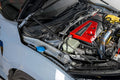 OLM Carbon Fiber Wrapped Hood Struts - 2017-2021 Honda Civic Type R