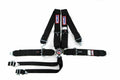 SFI 16.1 CAM-LOCK HARNESS 3' PULL D