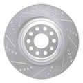 R1 12-21 Tesla Model S Rear Left Drilled & Slotted Silver Brake Rotor