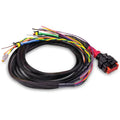 P-TYPE VAN HARNESS (27FT)