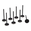 BLOX Racing High Compression Intake Valve Set for Honda F20C (set of 8)