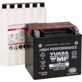 Yuasa YTX14H-BS High Performance AGM 12-Volt Battery w/Bottle