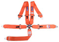 SFI 16.1 CAM-LOCK HARNESS 3' PULL D