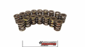 1.430 Dia Dual Valve Springs- .700 ID.