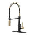 STREAMLINE COIL PULLDOWN RV KITCHEN FAUCET MATTE BLACK/MATTE GOLD