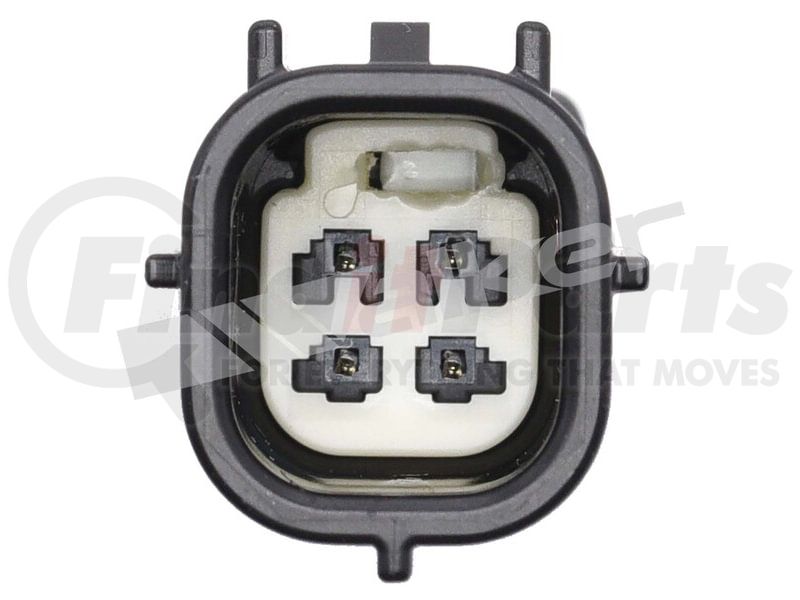 Walker Products Inc. - wideband gauge