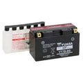 Yuasa YT7B-BS Maintenance Free AGM 12-Volt Battery w/Bottle