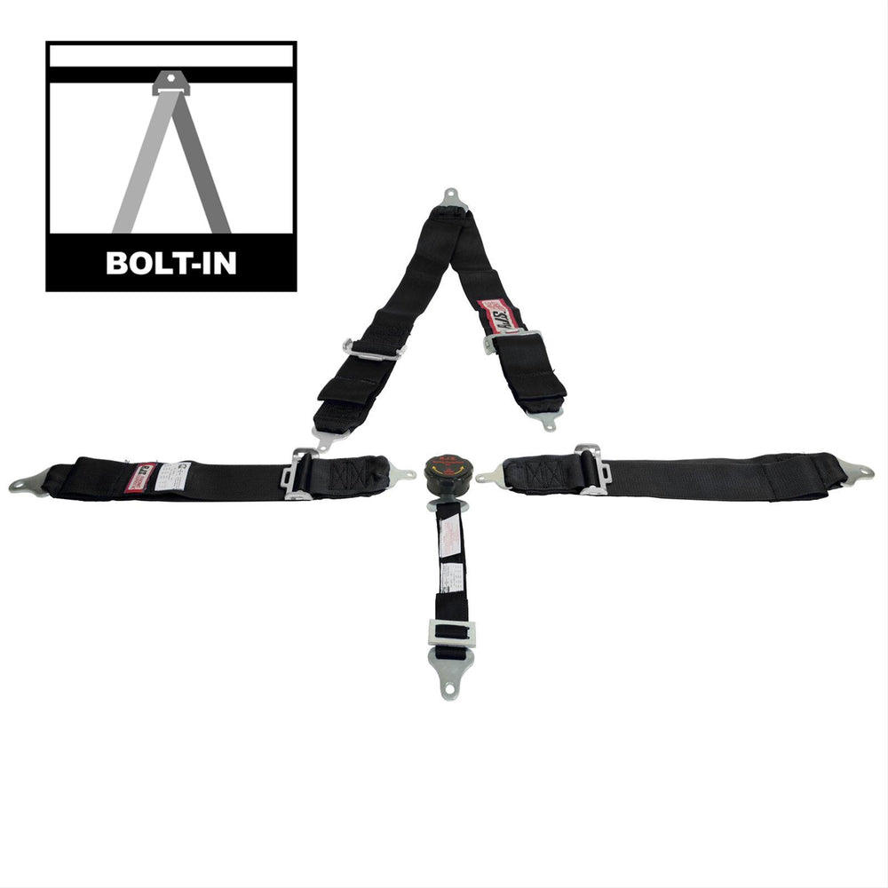 SFI 16.1 CAM-LOCK HARNESS 3' PULL D