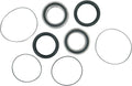 Pivot Works Rear Wheel Bearing Kit