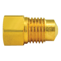 BRASS ADAPTER FEMALE(M10
