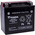 Yuasa YTX14-BS Maintenance Free AGM 12-Volt Battery w/Bottle